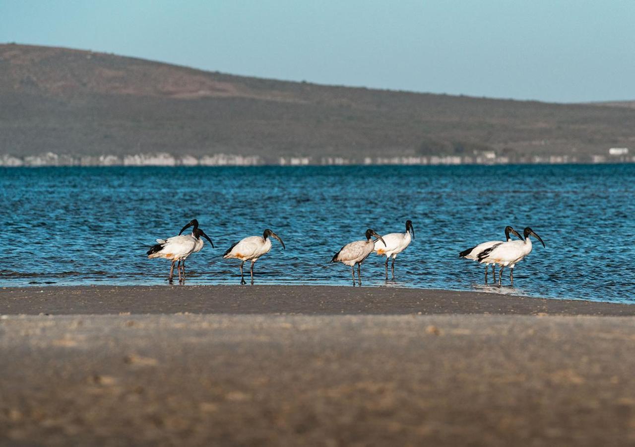 The Shark Bay Boutique Hotel & Spa Лангебан Экстерьер фото